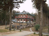 제주 남국사 - 천년의 사찰 - 꽃과 나무 이야기 제주 남국사