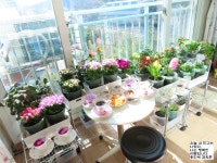 6월의 시 글 아침에 좋은 글 중에서 3월 7일 행사 쓰레기 줍기 나를 위한 기부 예우 베란다꽃정원카페찻집 봄꽃축제 용인 분위기 커피... 