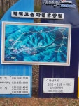 30구간 통리역 연인등재 고비덕재 백병산 한개고디 돌무덤 - 낙동정맥 - 영준자동차공업사 30구간 통리역 연인등재 고비덕재 백병산 한개고디... 