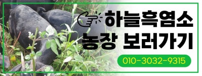 흑염소진액 / 흑염소농장 직영 판매☆회원전용 - 완도약산 하늘흑염소 - 부치미네참살이 당뇨에 좋은/기력에 좋은 /수족냉증에 좋은 흑염소진액... 