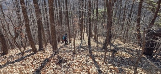 갑산지맥62.18km- 꿩 대신 닭? - ☞ 최근산(여)행기는 여기에.. - 홀대모 갑산지맥62.18km- 꿩 대신 닭?