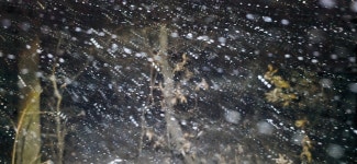 보현지맥2구간 64.37km- 검게 타들어간 흔적속에 지금도 가슴이 먹먹합니다. - ☞ 최근산(여)행기는 여기에.. - 홀대모 보현지맥2구간 64.37km... 