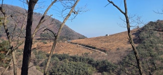 갑산지맥62.18km- 꿩 대신 닭? - ☞ 최근산(여)행기는 여기에.. - 홀대모 갑산지맥62.18km- 꿩 대신 닭?