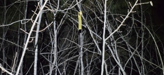 보현지맥2구간 64.37km- 검게 타들어간 흔적속에 지금도 가슴이 먹먹합니다. - ☞ 최근산(여)행기는 여기에.. - 홀대모 보현지맥2구간 64.37km... 