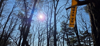 갑산지맥62.18km- 꿩 대신 닭? - ☞ 최근산(여)행기는 여기에.. - 홀대모 갑산지맥62.18km- 꿩 대신 닭?