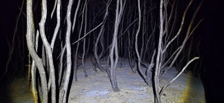 보현지맥2구간 64.37km- 검게 타들어간 흔적속에 지금도 가슴이 먹먹합니다. - ☞ 최근산(여)행기는 여기에.. - 홀대모 보현지맥2구간 64.37km... 