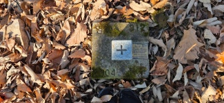 갑산지맥62.18km- 꿩 대신 닭? - ☞ 최근산(여)행기는 여기에.. - 홀대모 갑산지맥62.18km- 꿩 대신 닭?