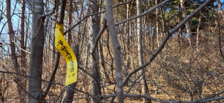 갑산지맥62.18km- 꿩 대신 닭? - ☞ 최근산(여)행기는 여기에.. - 홀대모 갑산지맥62.18km- 꿩 대신 닭?