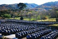 된장차의 놀라운 비밀ㅡ 국이나 찌개로 많이 섭취를 하는데ㅡ 생된장을 물에 섞어 마시거나ㅡ 건강 재료와 함께 넣고 ㅡ갈아 마시는 것을 - 청솔... 