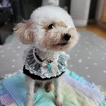 커플룩 자랑하러 왔다개~ - 자랑하개 - 어여뜨개 커플룩 자랑하러 왔다개~