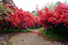 전주 완산칠봉(완산공원꽃동산) 14봉 13개 정상석 찍기 -대세산- #1... 산악회 전주 완산칠봉(완산공원꽃동산) 14봉 13개 정상석 찍기 -대세산- #1