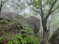 불암,수락 연계산행 1 (2025년 5월 20일 화요일) - 백두대간앨범방 - 김해 백두대간 산악회 불암,수락 연계산행 1 (2025년 5월 20일 화요일)