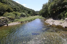 횡성 어답산과 병지방계곡 - 8월 12일 횡성 어답산과 병지방계곡 - 다담 화요 산악회 횡성 어답산과 병지방계곡