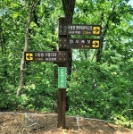 25.6.22. 소똥령 숲길/하늬팜 라벤다 마을 트레킹 - 정기산행 - 춘천 춘화산악회 25.6.22. 소똥령 숲길/하늬팜 라벤다 마을 트레킹