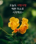 향기나는 좋은 하루 되세요 - 예쁜 & 이미지 - 춘천 춘화산악회 향기나는 좋은 하루 되세요