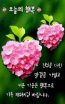 힘찬하루, 좋은 기분, 화이팅 ! - 예쁜 & 이미지 - 춘천 춘화산악회 힘찬하루, 좋은 기분, 화이팅 !