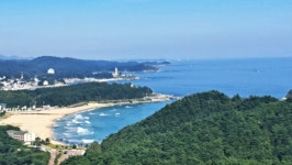 고성 응봉산/송지호 하늘바다길/화진포의 성 트레킹 계획(26-16차) - 정기산행 - 춘천 춘화산악회 26.9.13. 고성 응봉산/송지호 하늘바다길... 