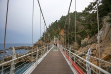 삼척 맹방 유채꽃/벚꽃/초곡 용굴 촛대바위 길 트래킹 - 정기산행 - 춘천 춘화산악회 25.4.13. 삼척 맹방 유채꽃/벚꽃/초곡 용굴 촛대바위 길... 