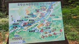# 남양주시의 명산 축령산 (887m)# - ─ ☞ 여행기= 약 초 군 - 여행전문카페 # 남양주시의 명산 축령산 (887m)#