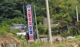 * 불자의 산 ~ 갓바위-명마산* - ─ ☞ 여행기= 약 초 군 - 여행전문카페 * 불자의 산 ~ 갓바위-명마산*