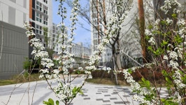 아산배방LH15단지 2024 1/4분기 경로당 생일祝賀 - 노인회 경로당 - 아산배방LH15단지 입주민카페 아산배방LH15단지 2024 1/4분기 경로당... 