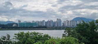 한강공원 거미 줄이 바람에 나무 잎을 돌리는 모습 - 사랑방 손님과 어머니 - 역학동 역학동