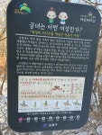 250202은평둘레~길. 불광. 정진사. 홍제역 - 산행 사진방 - 푸르미향기산악회 250202은평둘레~길. 불광. 정진사. 홍제역