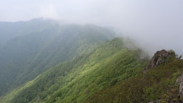 소백산 도솔봉 - 정기산행 사진 - 금오산악회 소백산 도솔봉