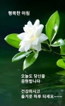 [■2/5목] 예쁜 이미지 - ‥‥ⓔ미지 ♡ 자료실 - 향기있는 좋은글 향기있는 좋은글