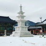 계룡산 여명사 - 카페 앨범 - 계룡산 여명사 계룡산 여명사