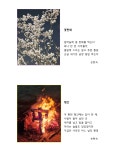「다시, 별」 외 4편 / 손현숙 - 디카시와 시집 둘러보기 - 양천디카시인협회(한국디카시인협회서울양천지회) 「다시, 별」 외 4편 / 손현숙