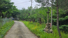 DMZ 평화의길 20코스 청정아리풍차펜션~명월2리 정류장... 후기방 - 거인산악회. DMZ 평화의길 20코스 청정아리풍차펜션~명월2리 정류장