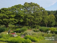송파구 몽촌토성길 여행후기, 26,6,15,월 - 서울시 여행/ 후기 - 6070 걷기친구 송파구 몽촌토성길 여행후기, 26,6,15,월