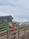 DMZ 평화의길 18코스 철원구간 *와수리 세월교~잠곡3리 버스정류장 (25.07.05) - ♠DMZ평화의길 사진♠ - [서울청마산악회] [서울청마산악회]