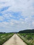 경기둘레길 36코스 -1 *도리 마을회관~현수1리 버스정류장 - 만산동호회 - 허총의 흔적 경기둘레길 36코스 -1 *도리 마을회관~현수1리 버스정류장