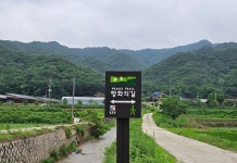 DMZ 평화의길 18코스 철원구간 *와수리 세월교~잠곡3리 정류장 (25.07.05) - ♠DMZ평화의길 사진♠ - [서울청마산악회] [서울청마산악회]