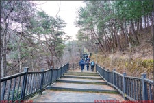 260118_6번째_남원 바래봉_전북학생수련원 백두대간생태교육장 산덕임도 부운치 팔랑치 바래봉 허브밸리 용산마을_첨단산악회 - 2026년 산행... 