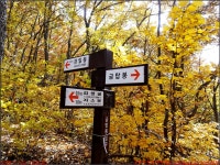 251109_4번째_봉화 청량산_입석 응진전 경일봉 자소봉 연적봉 자란봉 하늘다리 선학봉 장인봉 금강굴 주차장_첨단산악회 - 2025년 산행... 