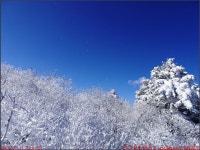 반재 당골광장_첨단산악회 - 2026년 산행 - 동하의 힘찬새발걸음 260111... 태백사 유일사쉼터 장군봉 태백산 망경사 반재 당골광장_첨단산악회