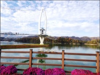 251116_임실 옥정호 물안개길_용운마을입구 데크수변길 전승지... 251116_임실 옥정호 물안개길_용운마을입구 데크수변길 전승지 출렁다리... 