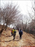 260222_2번째_완도 약산 삼문산 시산제_진달래공원 산가마니재 망봉 산가마니재 가사봉 산가마니재 진달래공원_첨단산악회 - 2026년 산행... 
