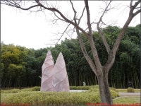 251221_울산 해파랑길 8~7코스_일산해변 대왕암 슬도 방어진항 경북횟집 태화강국가정원 십리대숲길 태화강전망대_첨단산악회 - 2025년 산행... 