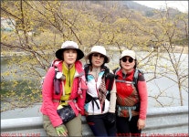 260315_2번째_구례 견두산_고산터널 천마산 상무봉 견두산 현천마을 산동면 더케이지리산가족호텔_첨단산악회 - 2026년 산행 - 동하의... 