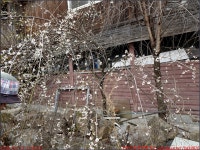 260315_2번째_구례 견두산_고산터널 천마산 상무봉 견두산 현천마을 산동면 더케이지리산가족호텔_첨단산악회 - 2026년 산행 - 동하의... 