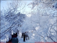 반재 당골광장_첨단산악회 - 2026년 산행 - 동하의 힘찬새발걸음 260111... 태백사 유일사쉼터 장군봉 태백산 망경사 반재 당골광장_첨단산악회