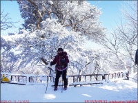 반재 당골광장_첨단산악회 - 2026년 산행 - 동하의 힘찬새발걸음 260111... 태백사 유일사쉼터 장군봉 태백산 망경사 반재 당골광장_첨단산악회