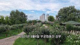 2007년 무궁화동산 조성 원년 - 오늘 동산에서는 - 안산무궁화동산 2007년 무궁화동산 조성 원년