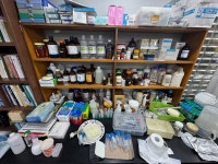 [중도일보] 과학기술포럼에서의 ＜정년기 꿀벌동물병원 원장님＞의 특강 + 대전 방문기 - ⑤ K양봉 언론보도 - 꿀벌사랑동호회 [중도일보]... 