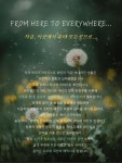 연주회소식 - 소리사랑피아노 & 경주클래식기타앙상블 [10월25일]2025 최인 기타 리사이틀 From here to evverywhere 인천공연