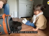 체리 자기가 숯이 주인이라고 생각하나봐 ㅋㅋㅋㅋ 병원 가는데 생이별인줄 알고 대성통곡ㅋㅋㅋㅋ - 인스티즈(instiz) 이슈 카테고리 체리... 